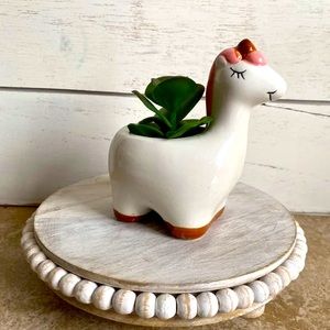 Unicorn succulent planter